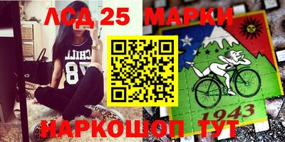 МДПВ Пугачёв
